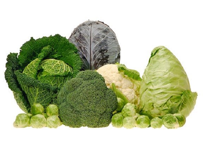 Food rich in sulfur Food rich in sulfur