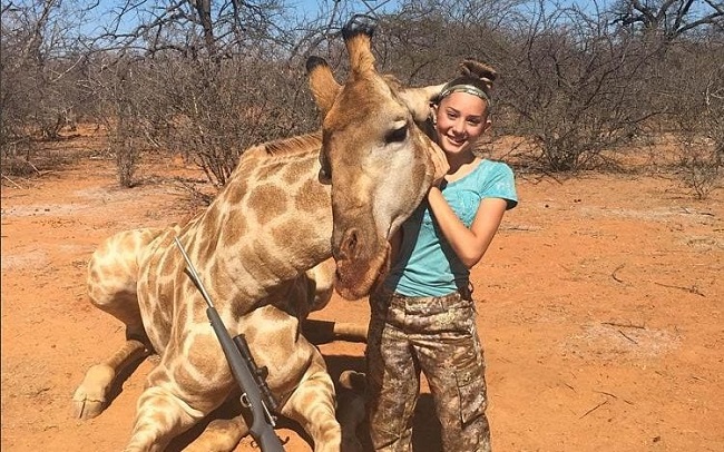 Giraffes Are on Verge of Extinction Giraffes Are on Verge of Extinction