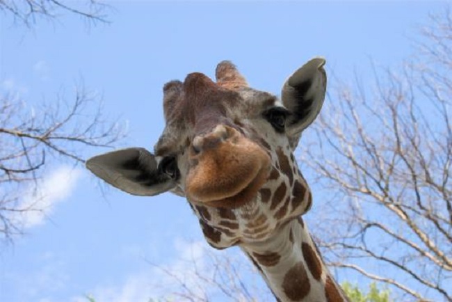 Is it really an outrage or just an unfortunate accident Is it really an outrage or just an unfortunate accident