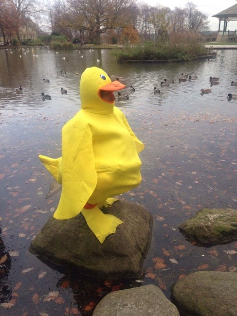 yellow duck yellow duck