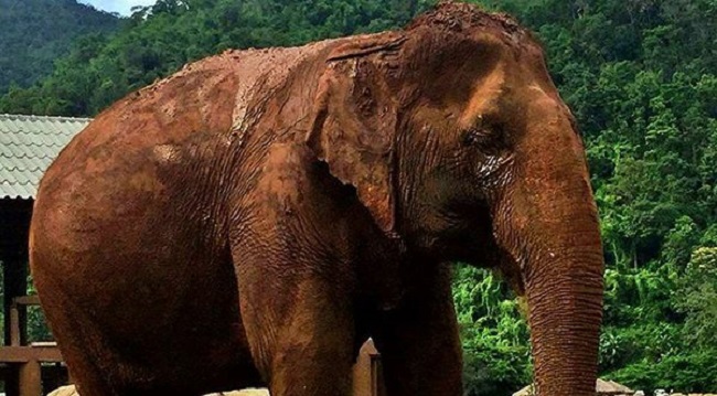 Blindness and Deafness Blindness and Deafness