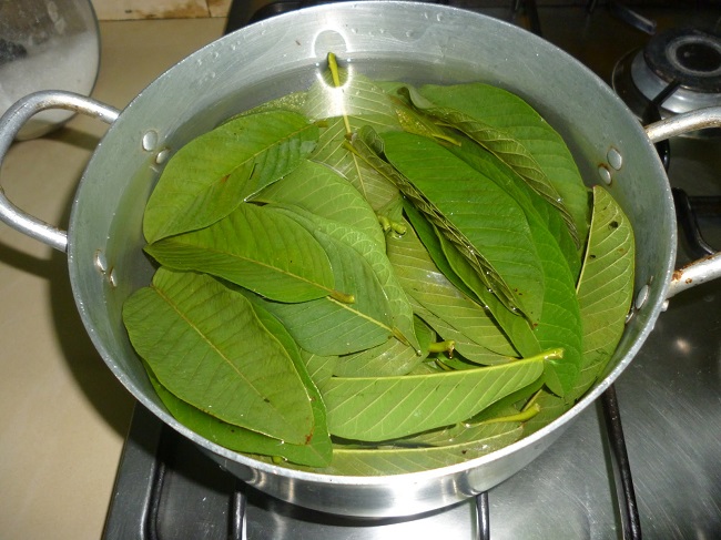 Guava leaves Guava leaves