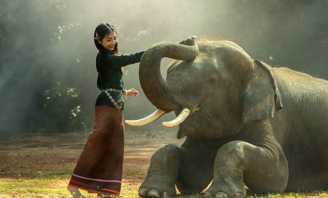 Humans-animals relationship Humans-animals relationship