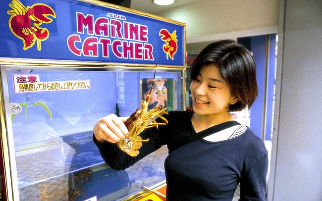 Live lobsters in japanese vending machine Live lobsters in japanese vending machine