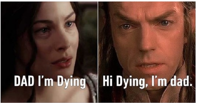 More Arwen memes More Arwen memes