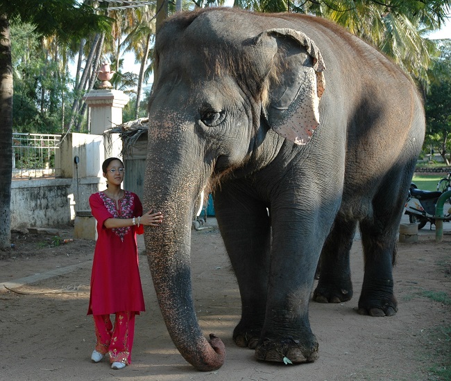 Sarah-and-Elephant Sarah-and-Elephant