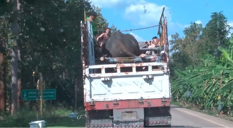 The journey to a better life The journey to a better life