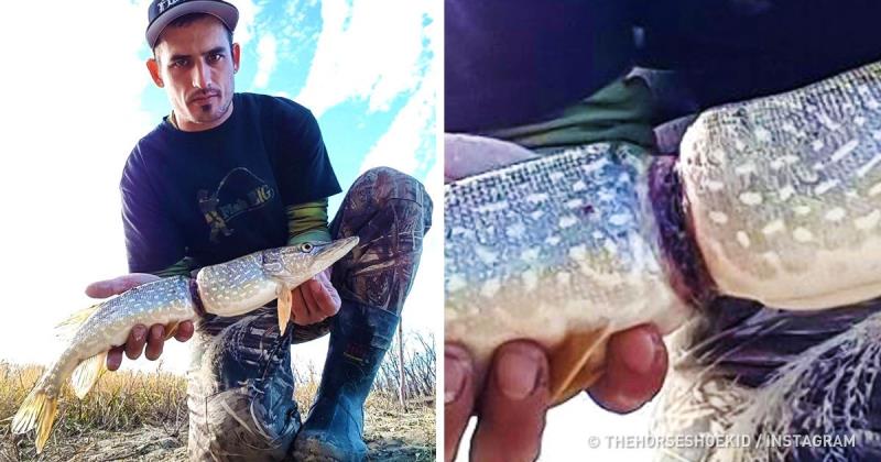 A fish stuck in a bottle tag A fish stuck in a bottle tag