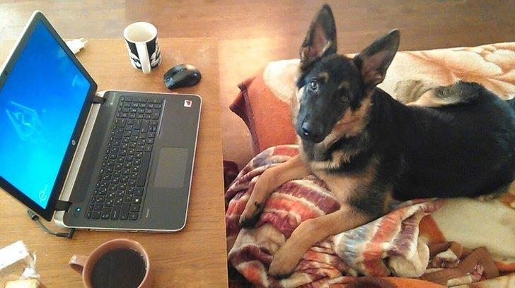 Did Me Mention They’re Scary? Did Me Mention They’re Scary?