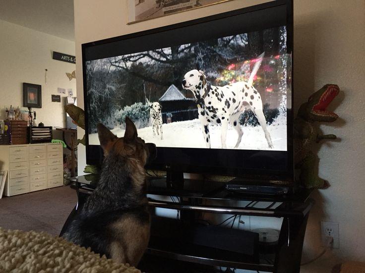 Don’t Leave Them With Your Children Don’t Leave Them With Your Children