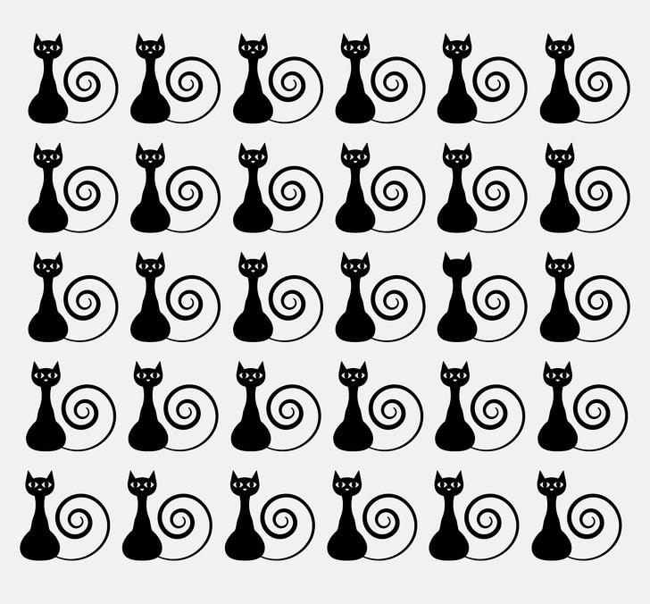 Find the cat which is different from other cats Find the cat which is different from other cats