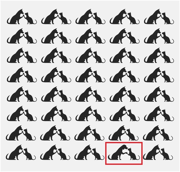 Fourth pair in the last row Fourth pair in the last row