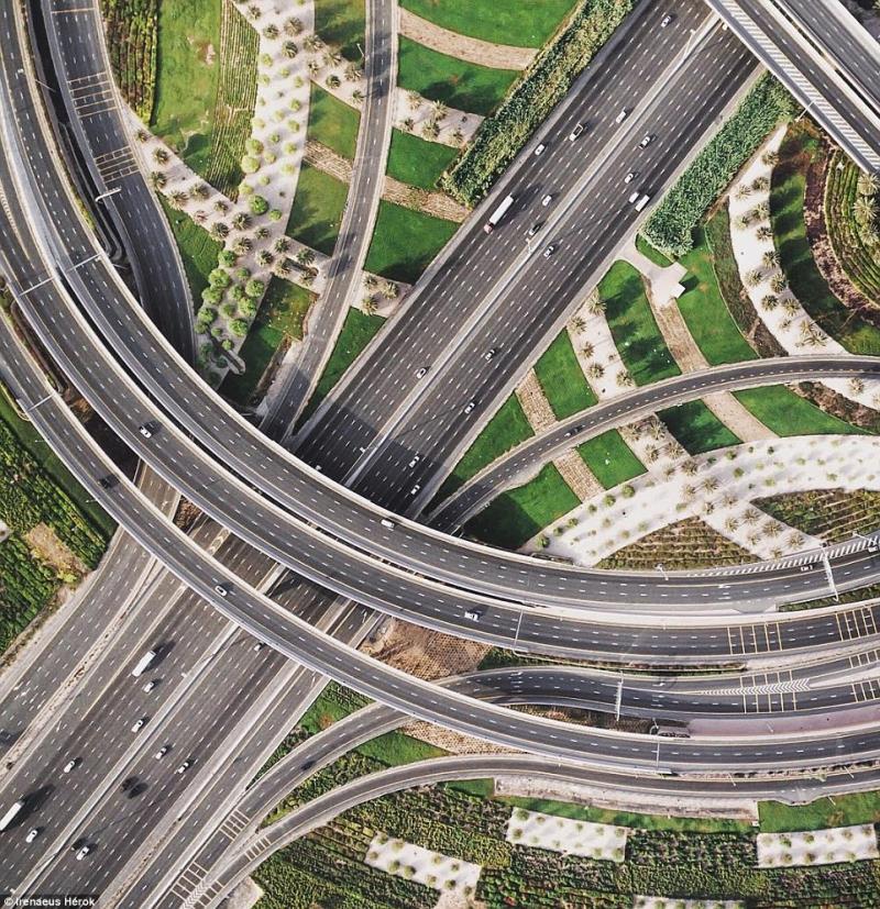 Greenery everywhere Greenery everywhere