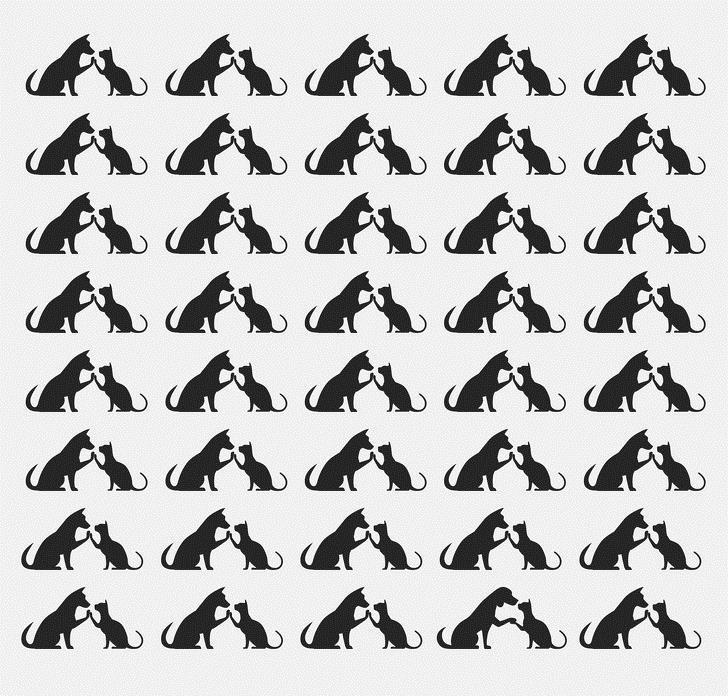 Identify the odd pair Identify the odd pair