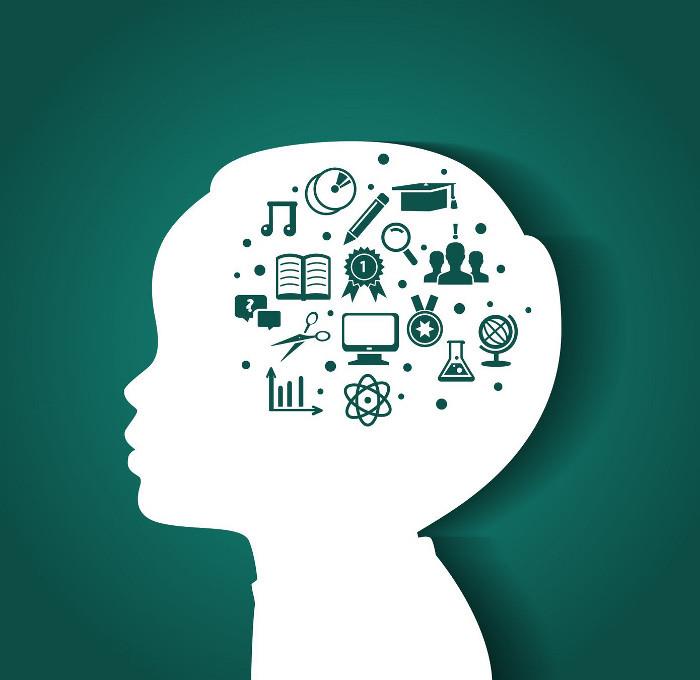 Importance of brain development in childhood Importance of brain development in childhood