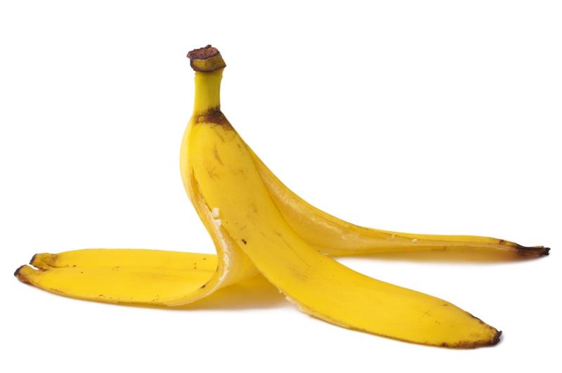 Include them in your diet Include them in your diet