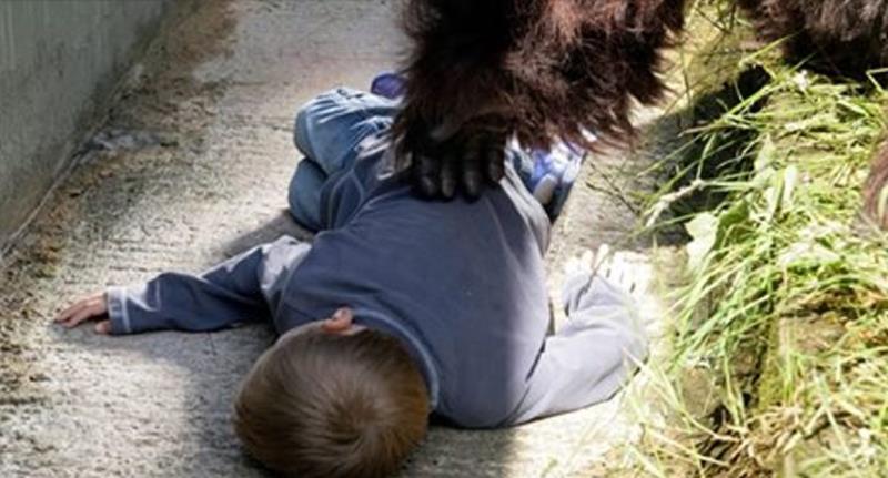 Pit Bull Saves Unconscious Owner From An Oncoming Freight Train Pit Bull Saves Unconscious Owner From An Oncoming Freight Train