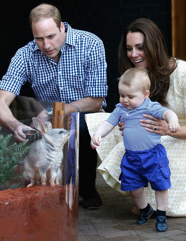 Spent a day with Prince George in a farm and Petting Zoo
