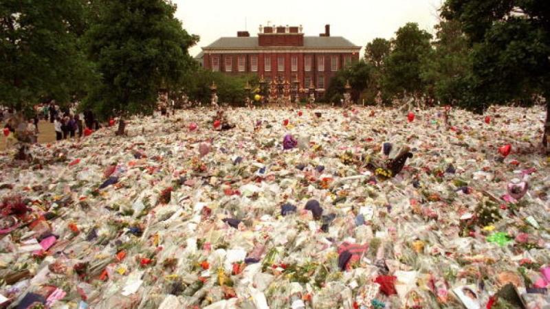 The Second Picture The Second Picture