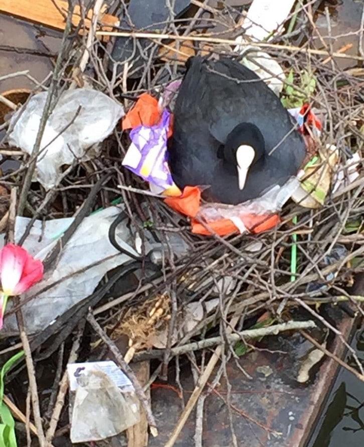 The symbol of marine tragedy The symbol of marine tragedy