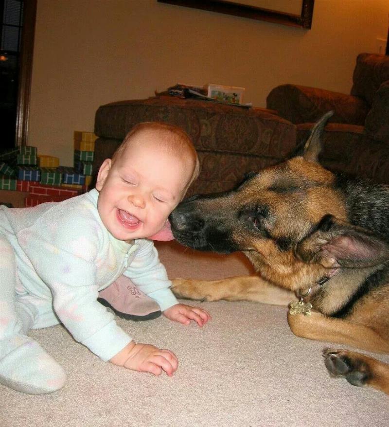 They Aren’t Cute They Aren’t Cute