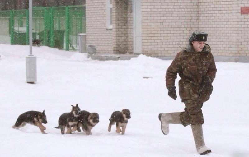 They Can’t Entertain Themselves They Can’t Entertain Themselves