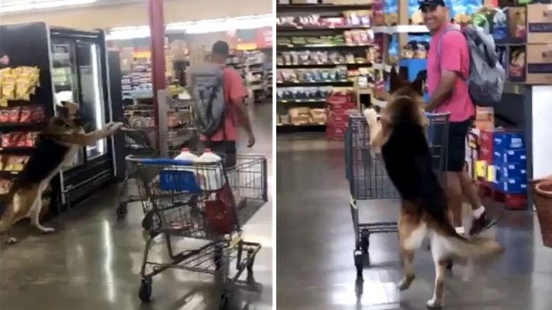 They Can’t Show Love They Can’t Show Love