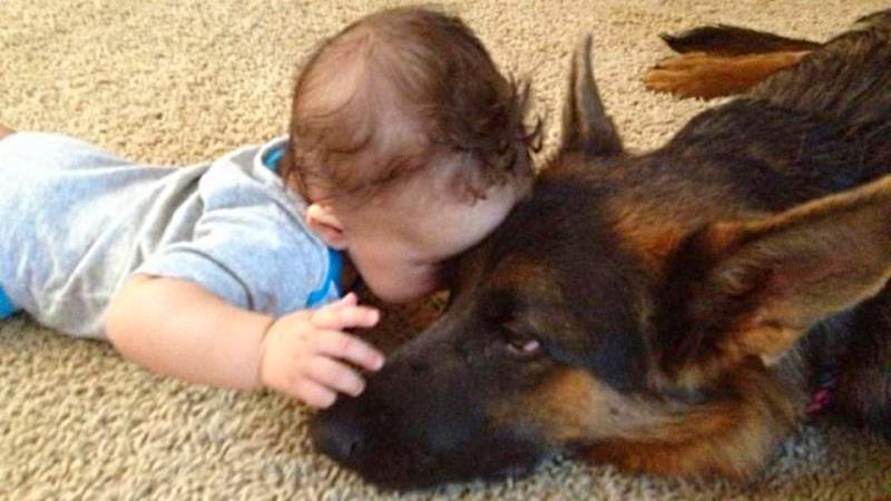 They Don’t Smile They Don’t Smile