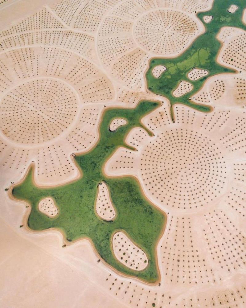 What are these dots? What are these dots?