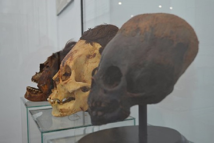 After more tests, the Paracas skulls became even more mysterious