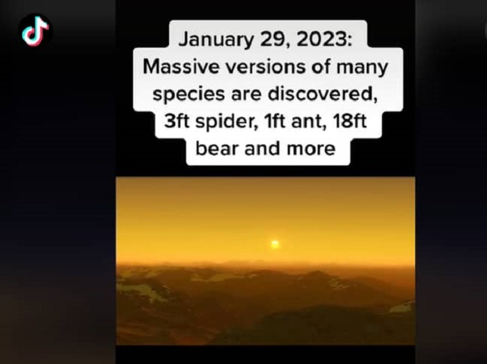 It isn’t the first time Alaric has made such claims about the future