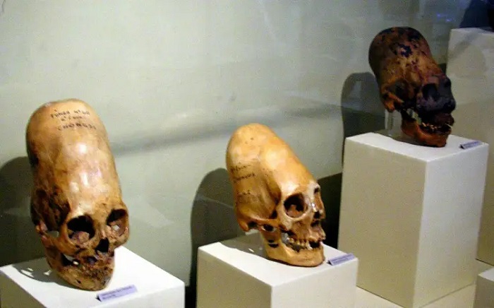 Recent DNA analysis reveals the skulls may not be human skulls