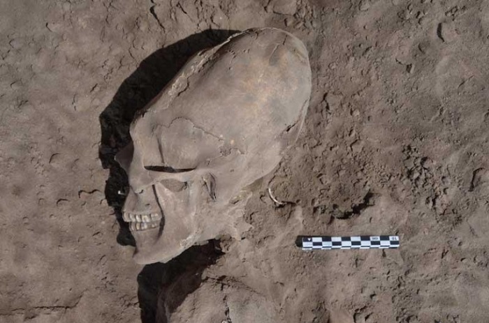 The mysterious Paracas skulls found inside the tomb