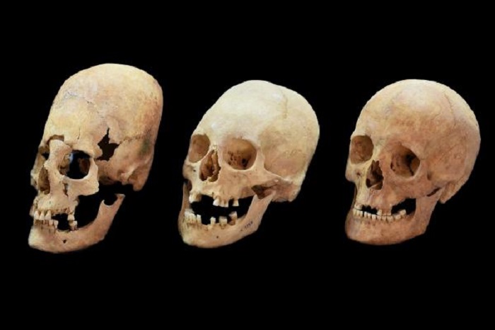 The skulls’ DNA doesn’t match that of any living species on earth