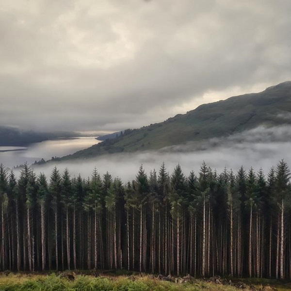 Scotch Mist Runner-up in the Mobile Phone category