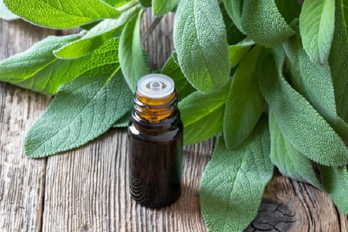 Things to think about when using herbal teas