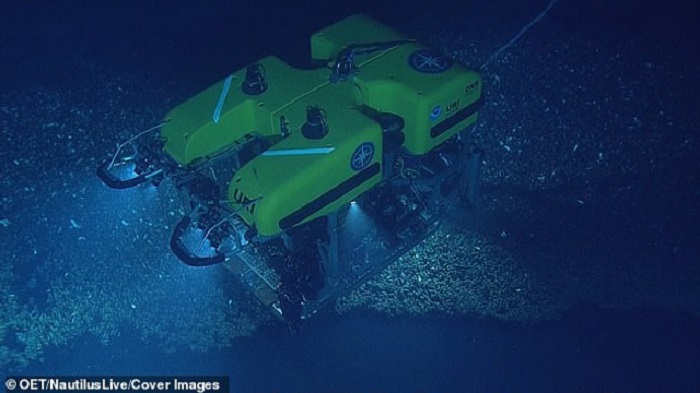 The Nautilus team used an ROV (Remotely operated underwater vehicle) to get a quick close-up of the rare piglet squid The Nautilus team used an ROV (Remotely operated underwater vehicle) to get a quick close-up of the rare piglet squid