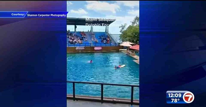 A Kentucky based photographer captured the whole ordeal on video and posted it on TikTok