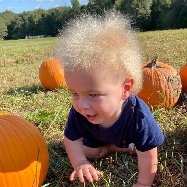 Locklin’s adorable and cuddlyhair is the first thing that will catch your eye when you see him