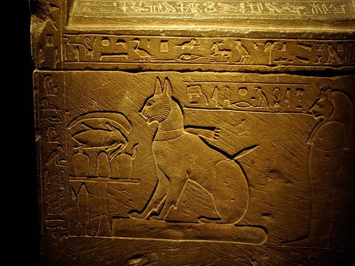 More facts about cats from the time of ancient Egyptians