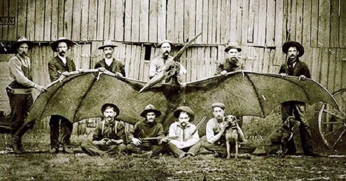 Another account of a giant bird was reported back in the 1890s by two cowboys claiming to have shot it down Another account of a giant bird was reported back in the 1890s by two cowboys claiming to have shot it down