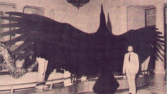 North America have claimed to have encountered a large monstrous bird in the past North America have claimed to have encountered a large monstrous bird in the past