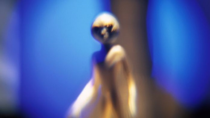 Pop culture refers to them as ‘draconic aliens’ or ‘gray aliens’