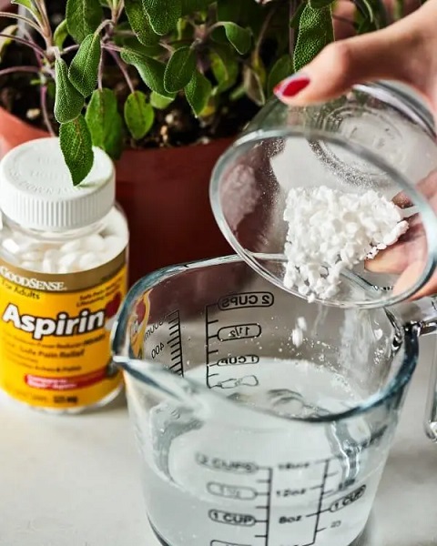 Pour an Aspirin Mixture over warts and skin tags