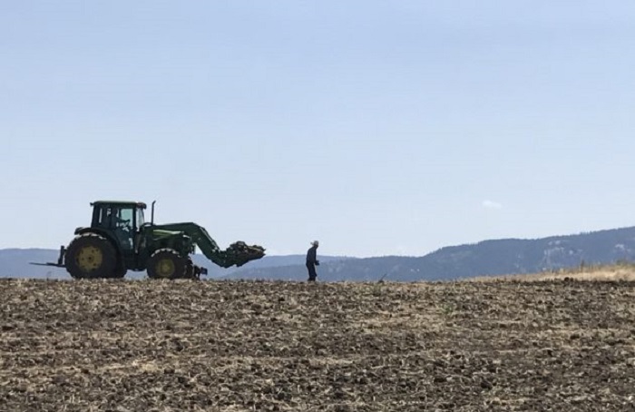 The brothers display all of their farm equipment, vehicles, and animals they work with