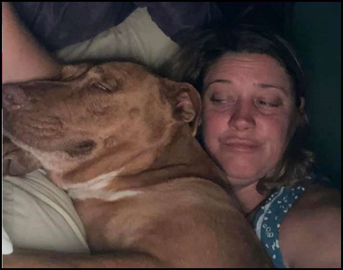 As adorable and affectionate as the dog was, the big question was — who did it belong to As adorable and affectionate as the dog was, the big question was — who did it belong to