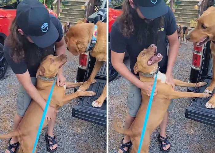 Nala’s owners, Cris and Felicia, soon showed up to take Nala home Nala’s owners, Cris and Felicia, soon showed up to take Nala home