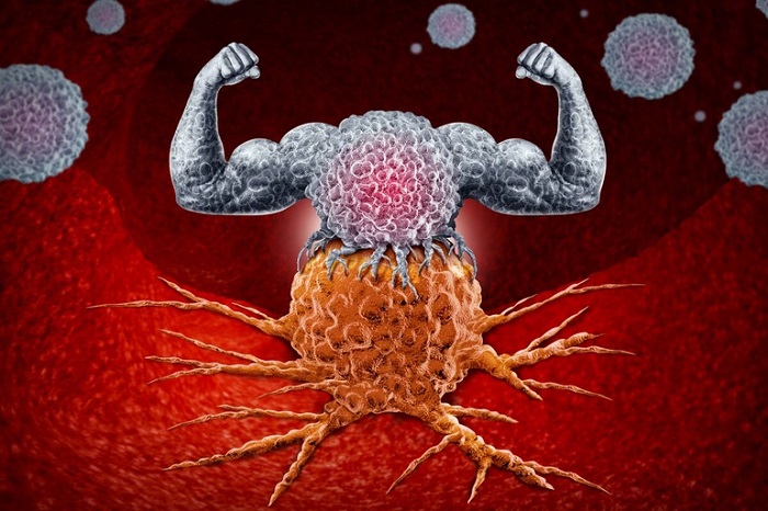 the research fosters hope for more research the research fosters hope for more research