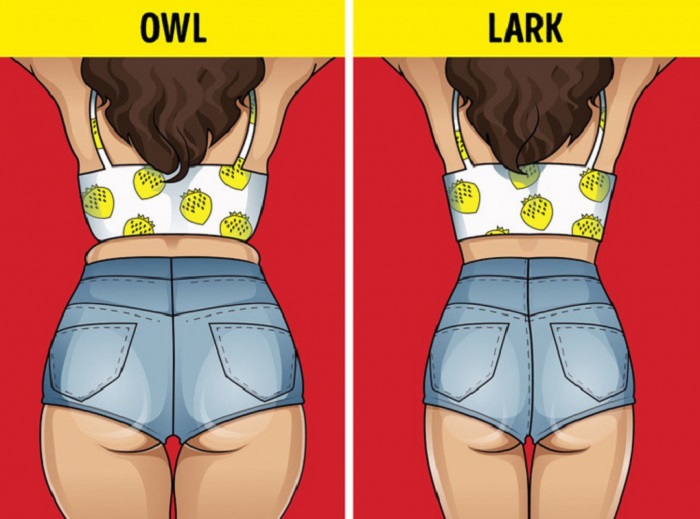 Wake up early Wake up early