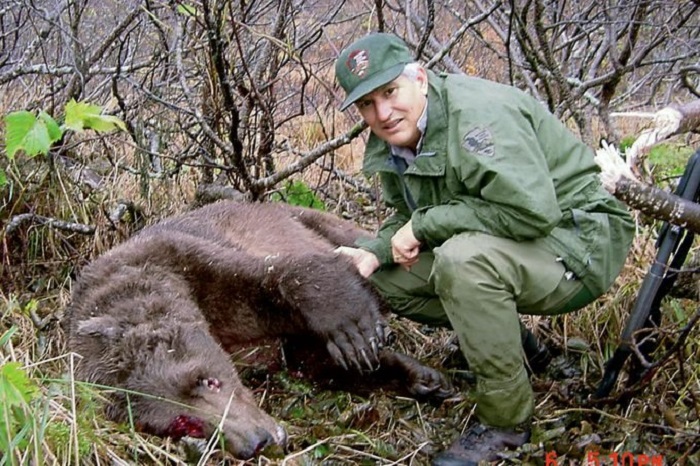 The bear was eventually shot The bear was eventually shot